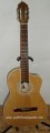 Guitarra Fileteada modelo MDFT 4